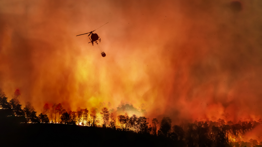 Climate Specialists Cool on the Prediction of Increased Bushfire ...