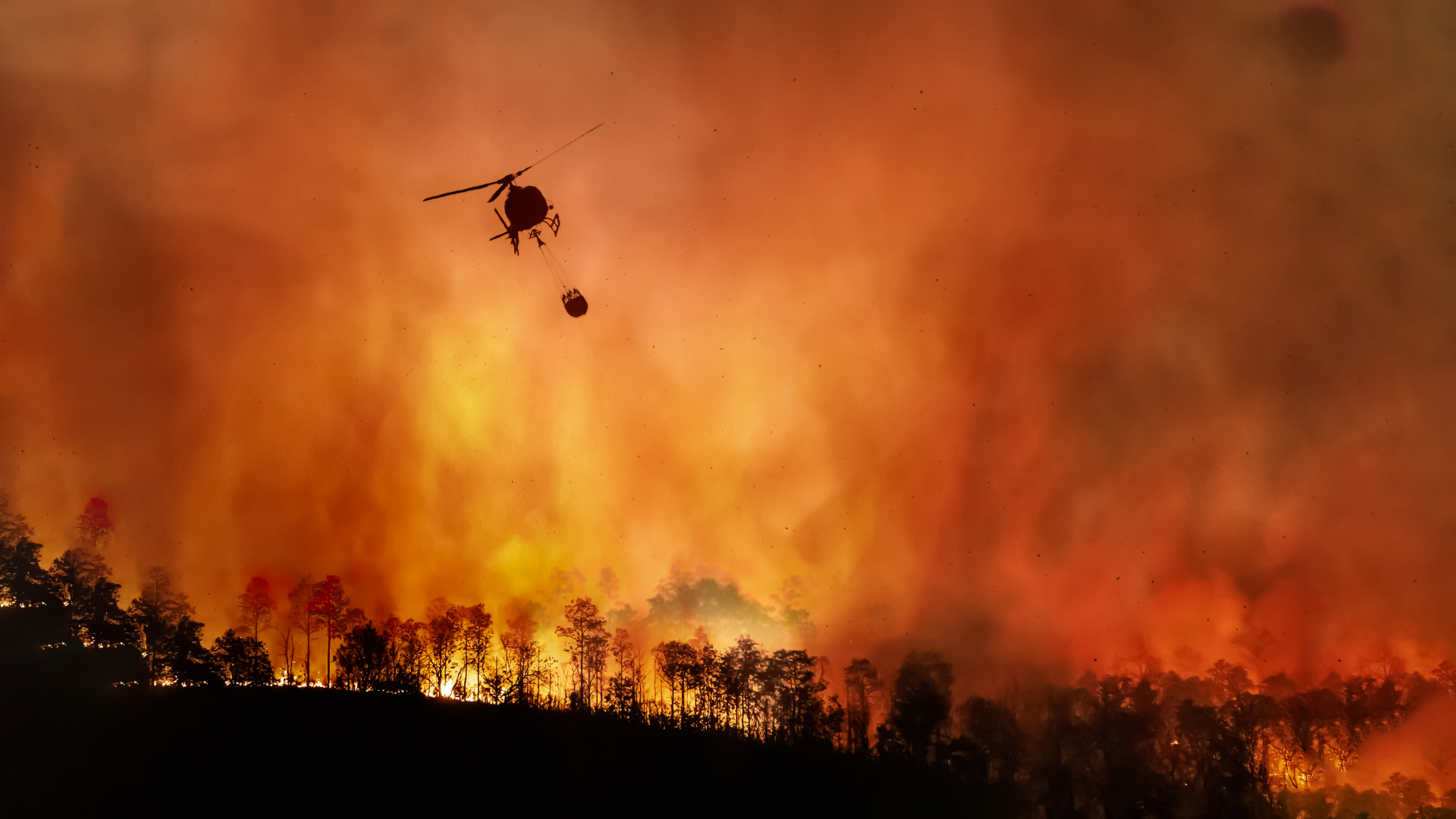 Climate Specialists Cool on the Prediction of Increased Bushfire Insurance Losses