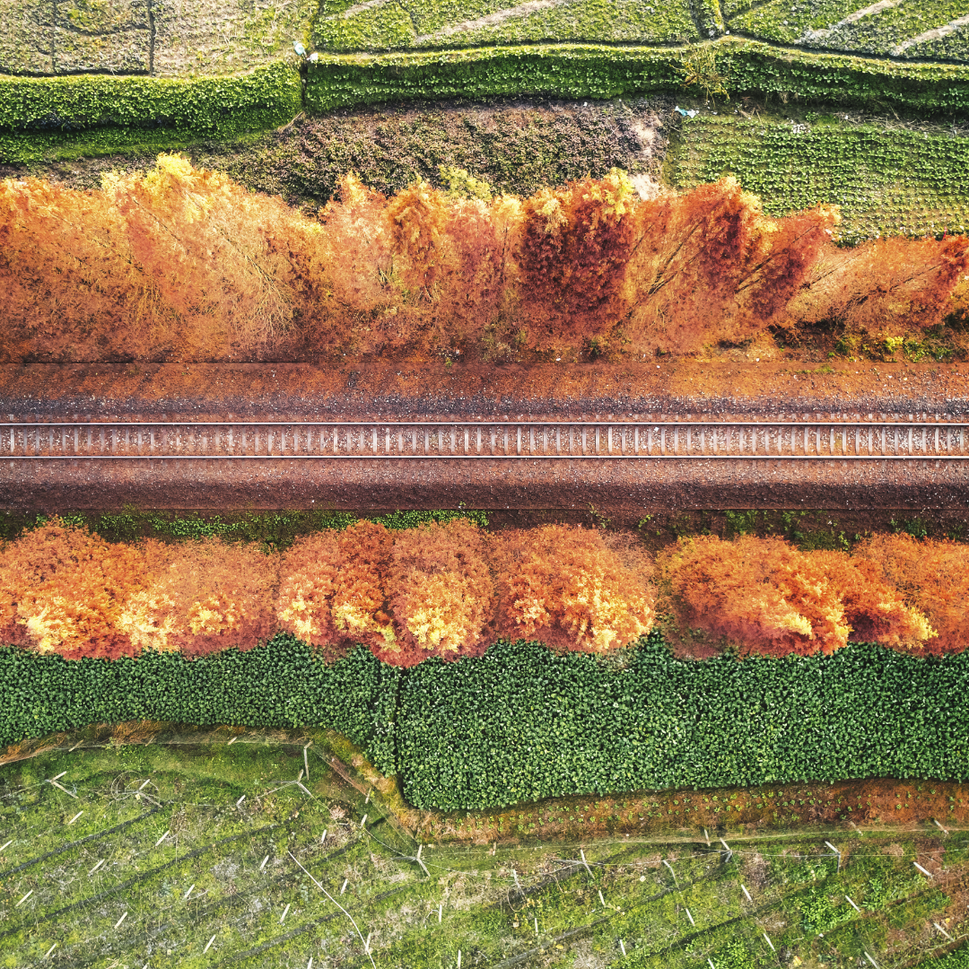 Safeguarding Rail Operations: Key Strategies for Risk Mitigation