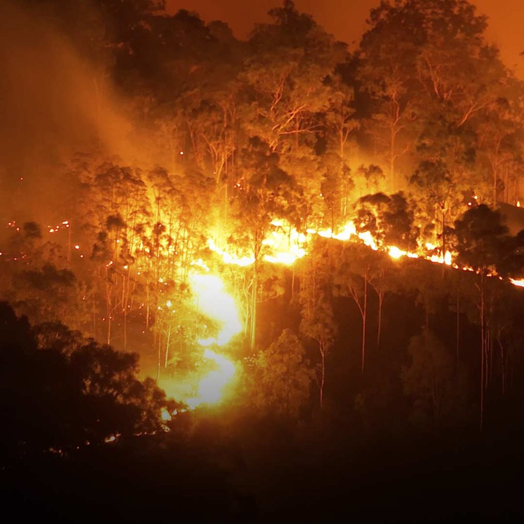 Bushfires impact on reinsurance