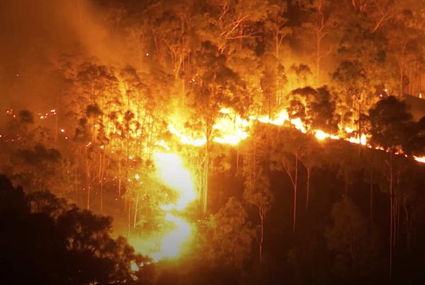 Bushfires impact on reinsurance