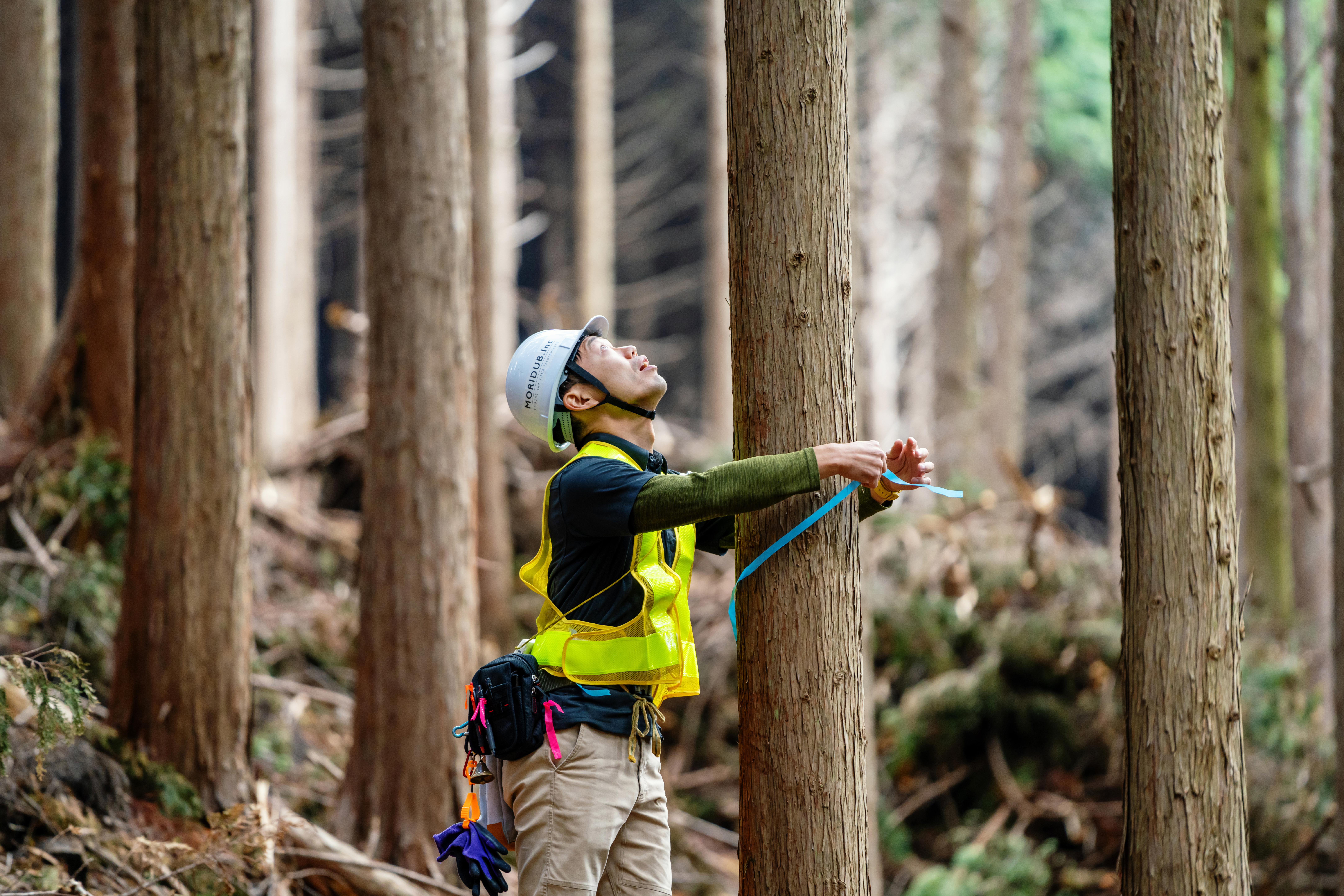 Green Construction: The Role of New Materials In Risk and Insurance