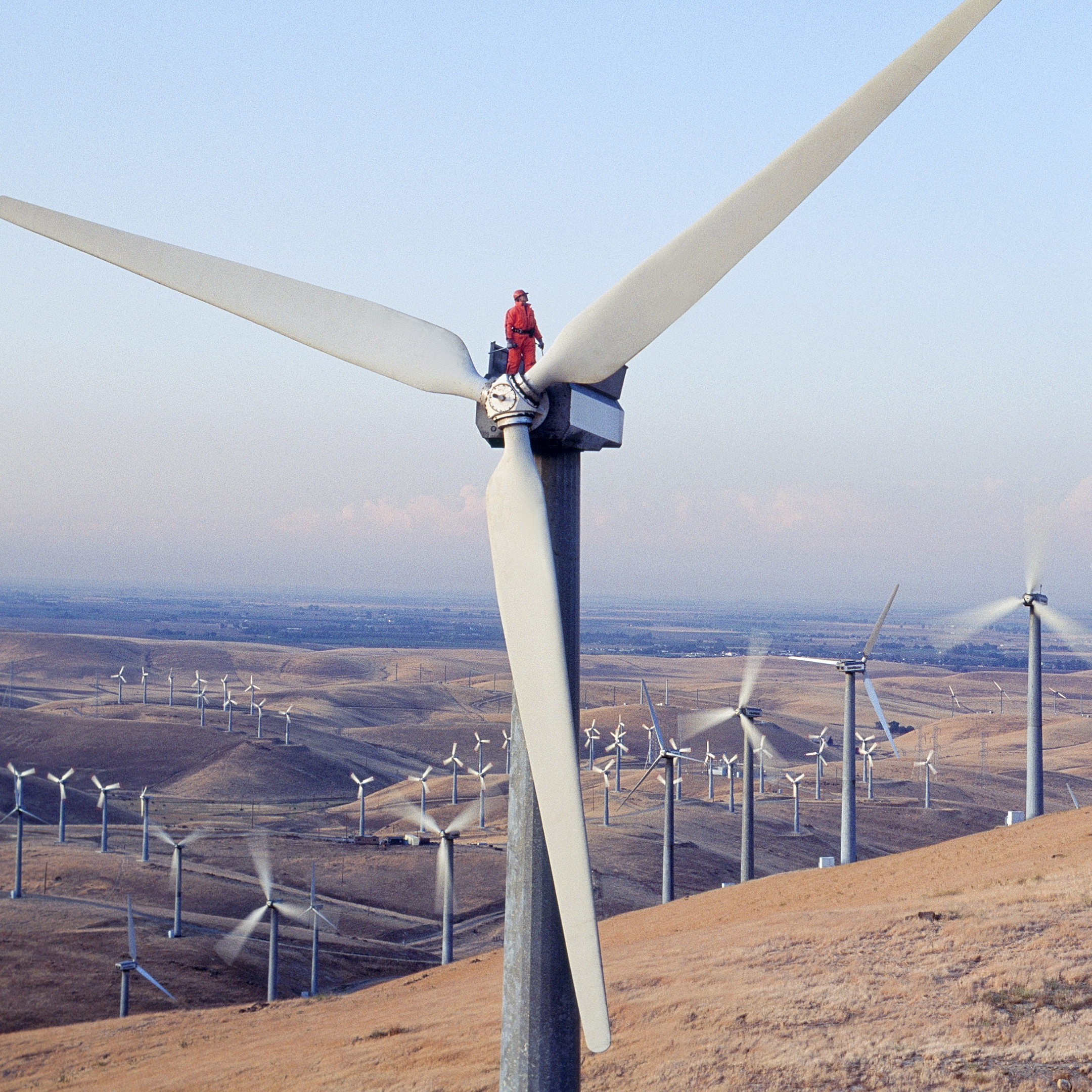 Insurance Market Conditions for the Renewable Energy Sector
